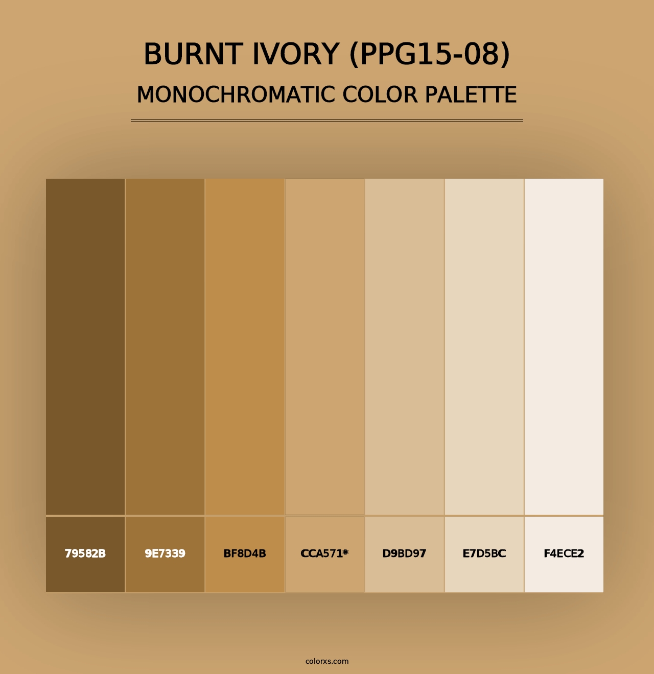 Burnt Ivory (PPG15-08) - Monochromatic Color Palette