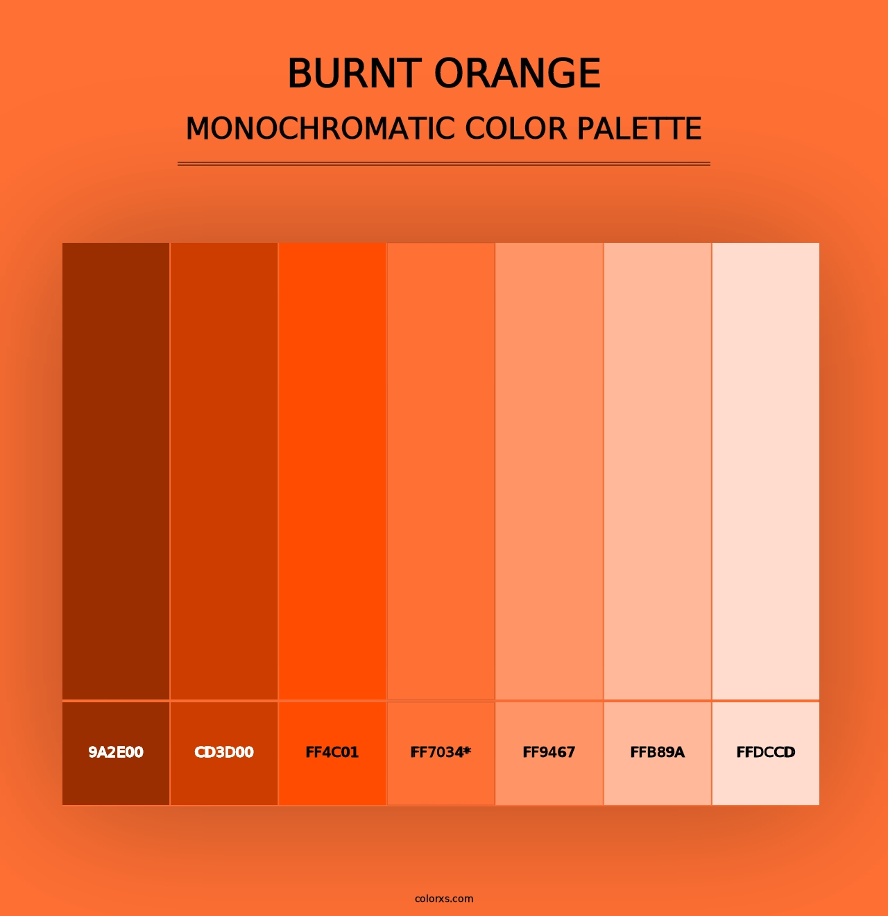 Burnt Orange - Monochromatic Color Palette