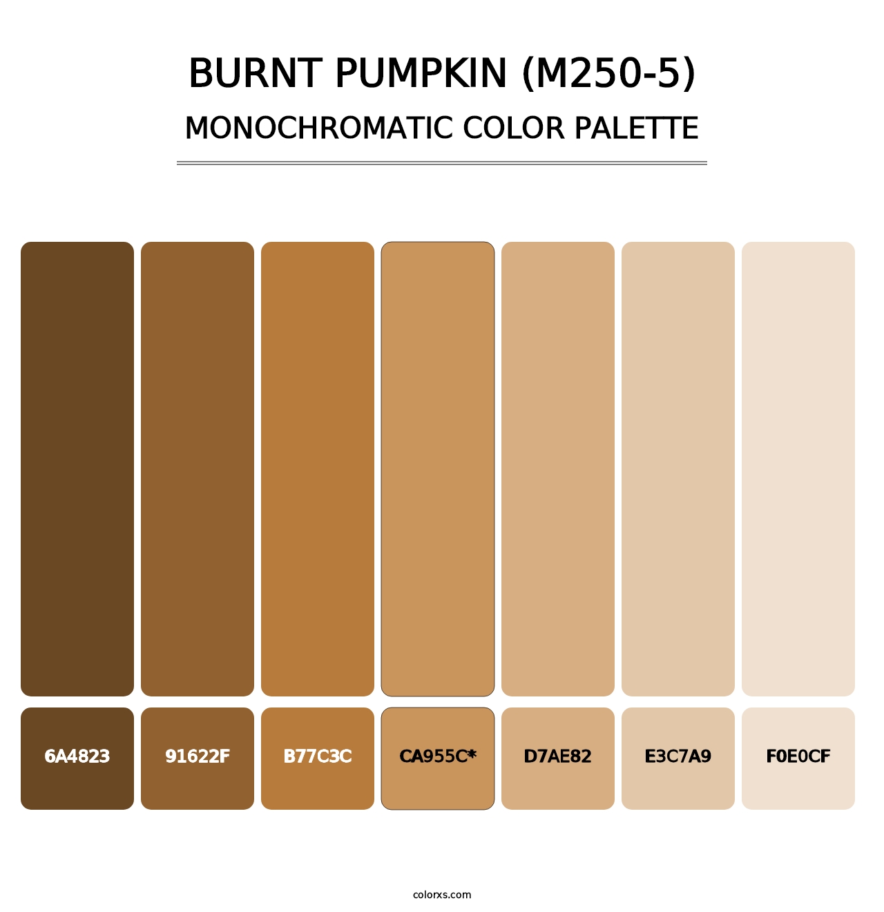 Burnt Pumpkin (M250-5) - Monochromatic Color Palette