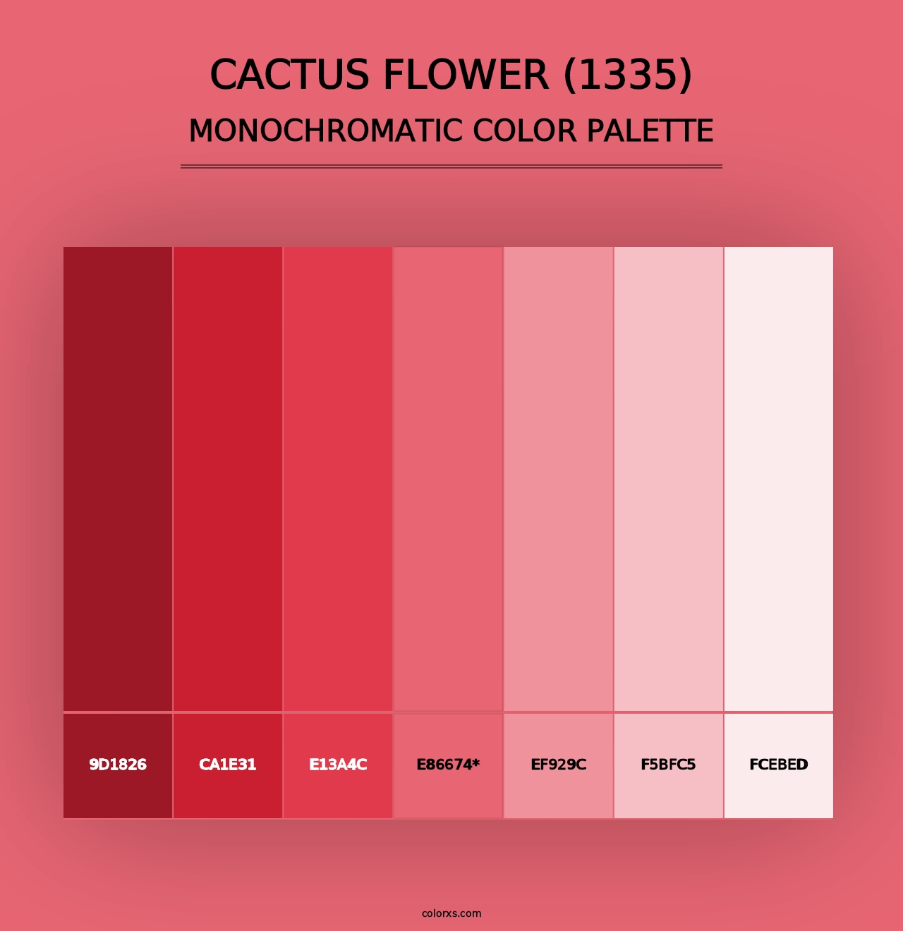 Cactus Flower (1335) - Monochromatic Color Palette