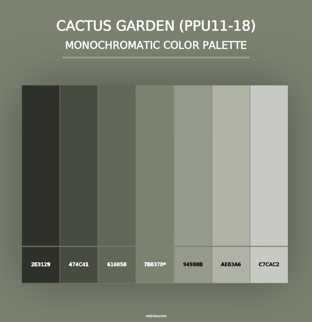 Cactus Garden (PPU11-18) - Monochromatic Color Palette