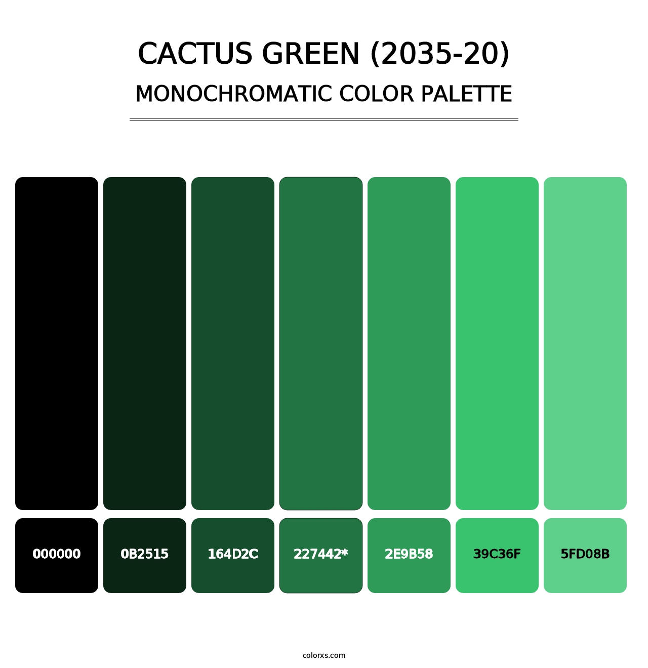 Cactus Green (2035-20) - Monochromatic Color Palette