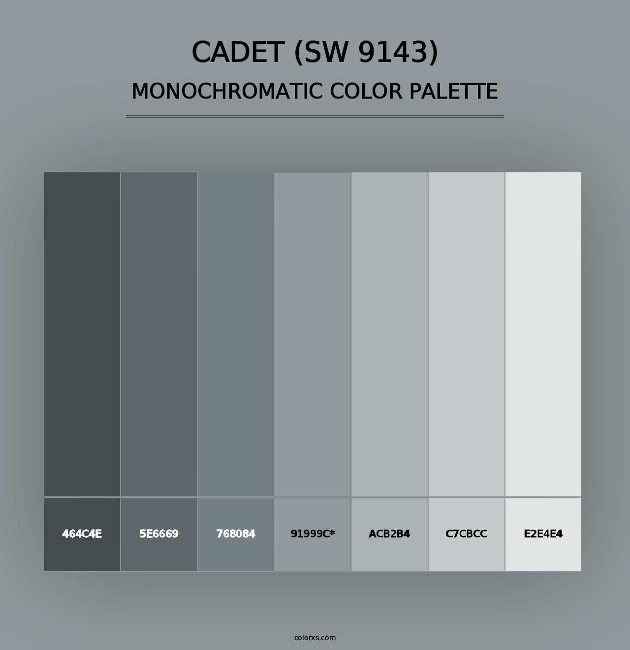 Cadet (SW 9143) - Monochromatic Color Palette