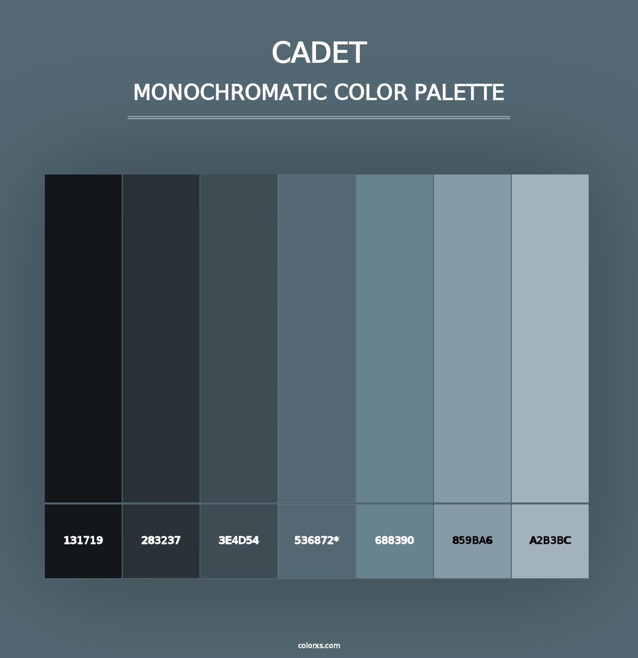 Cadet - Monochromatic Color Palette