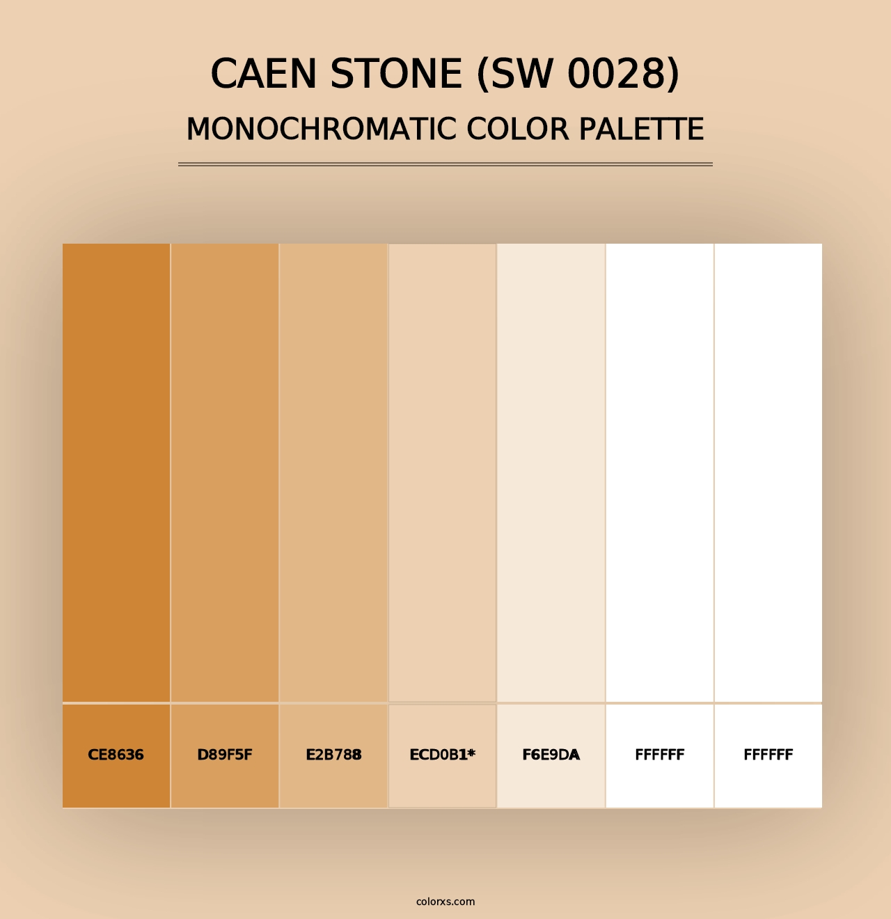 Caen Stone (SW 0028) - Monochromatic Color Palette