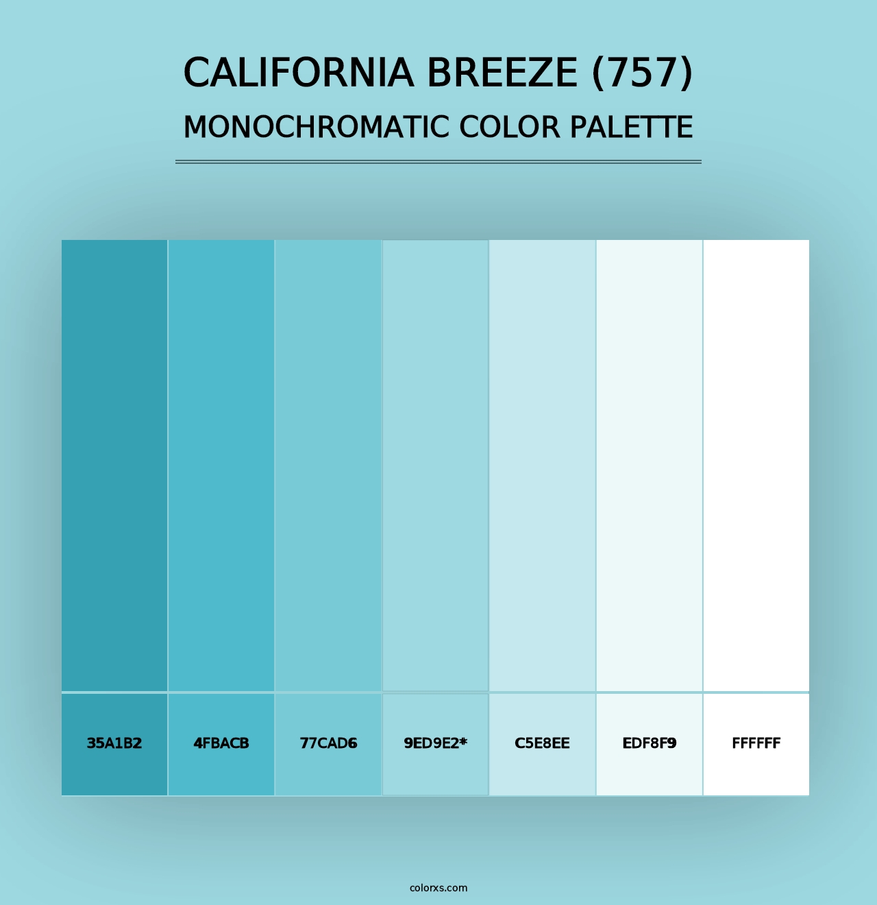 California Breeze (757) - Monochromatic Color Palette