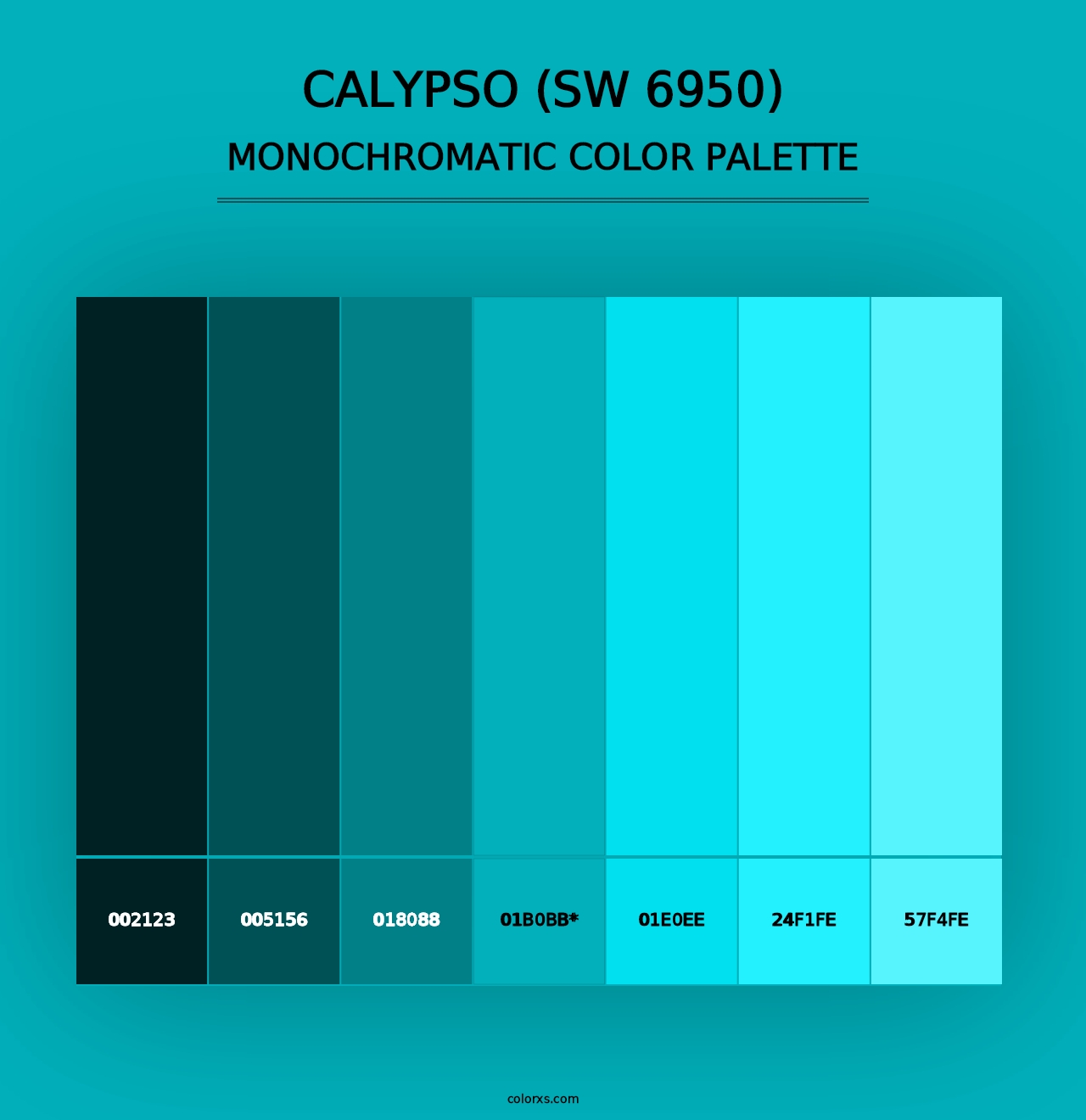 Calypso (SW 6950) - Monochromatic Color Palette