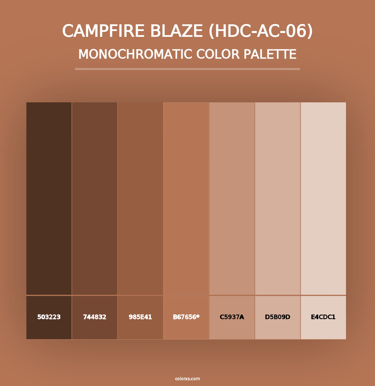 Campfire Blaze (HDC-AC-06) - Monochromatic Color Palette