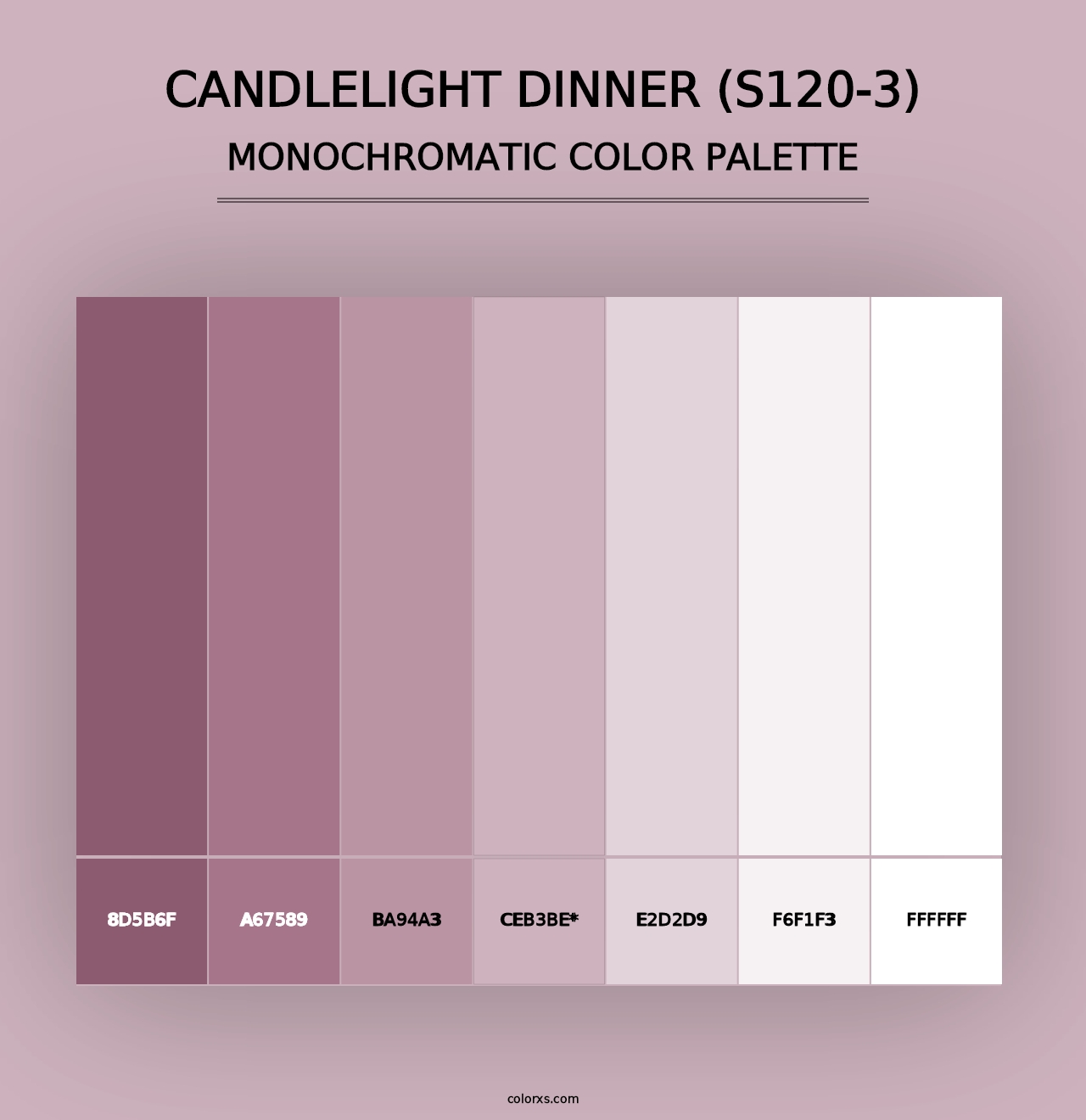 Candlelight Dinner (S120-3) - Monochromatic Color Palette