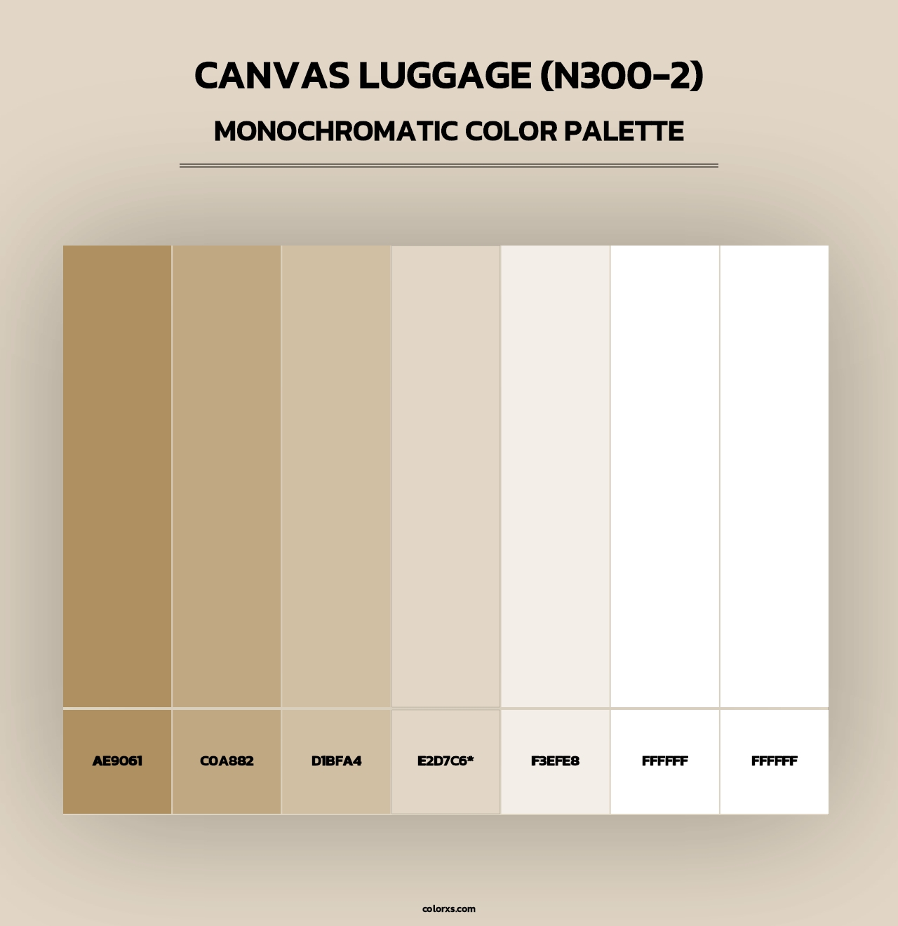 Canvas Luggage (N300-2) - Monochromatic Color Palette