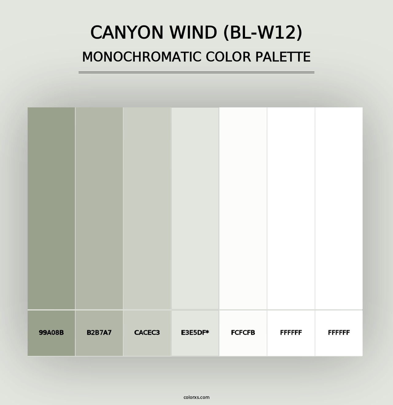 Canyon Wind (BL-W12) - Monochromatic Color Palette