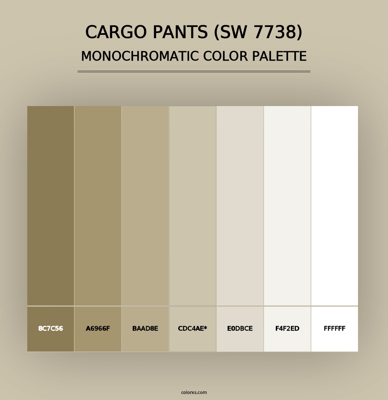 Cargo Pants (SW 7738) - Monochromatic Color Palette