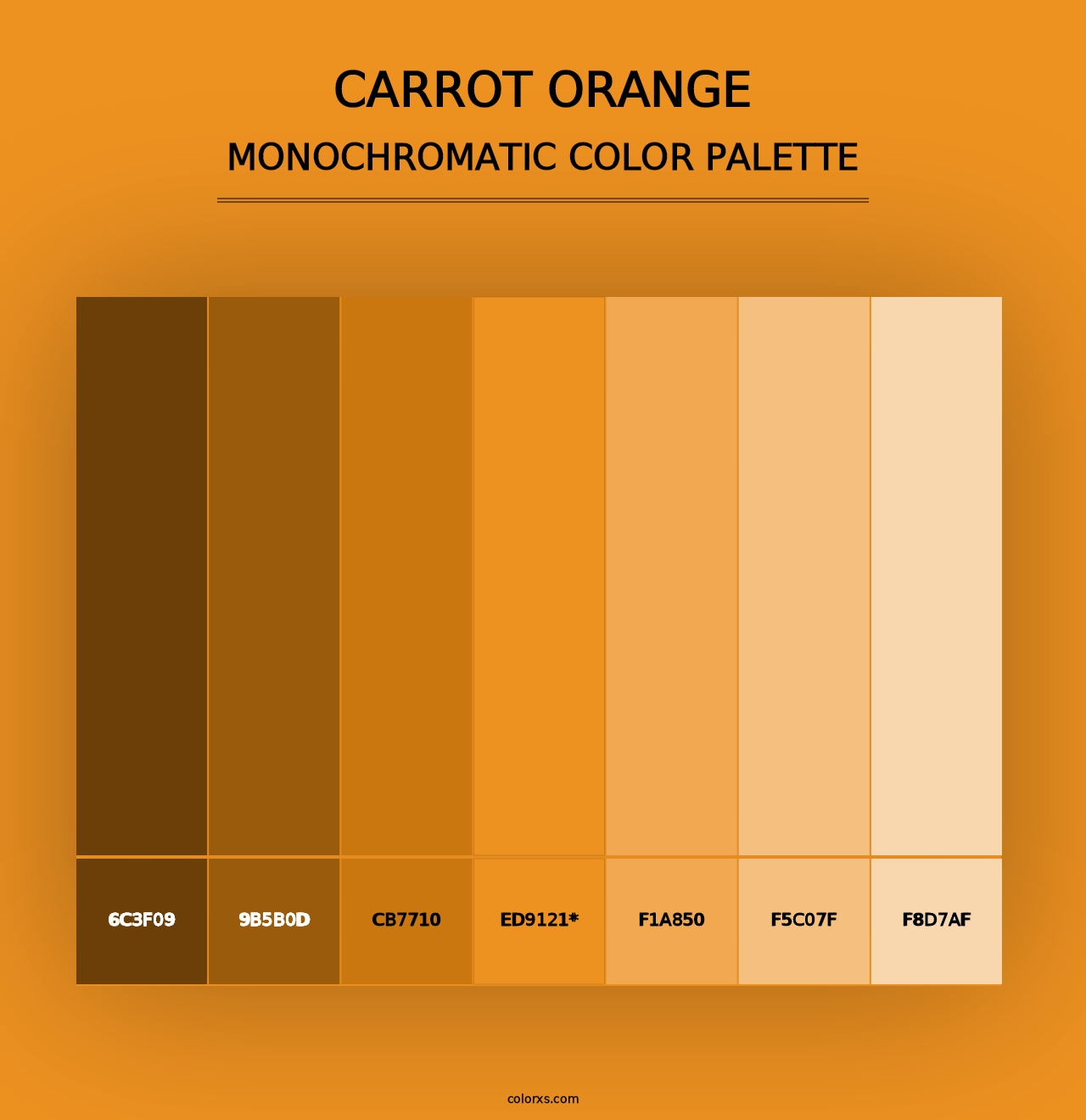 Carrot Orange - Monochromatic Color Palette