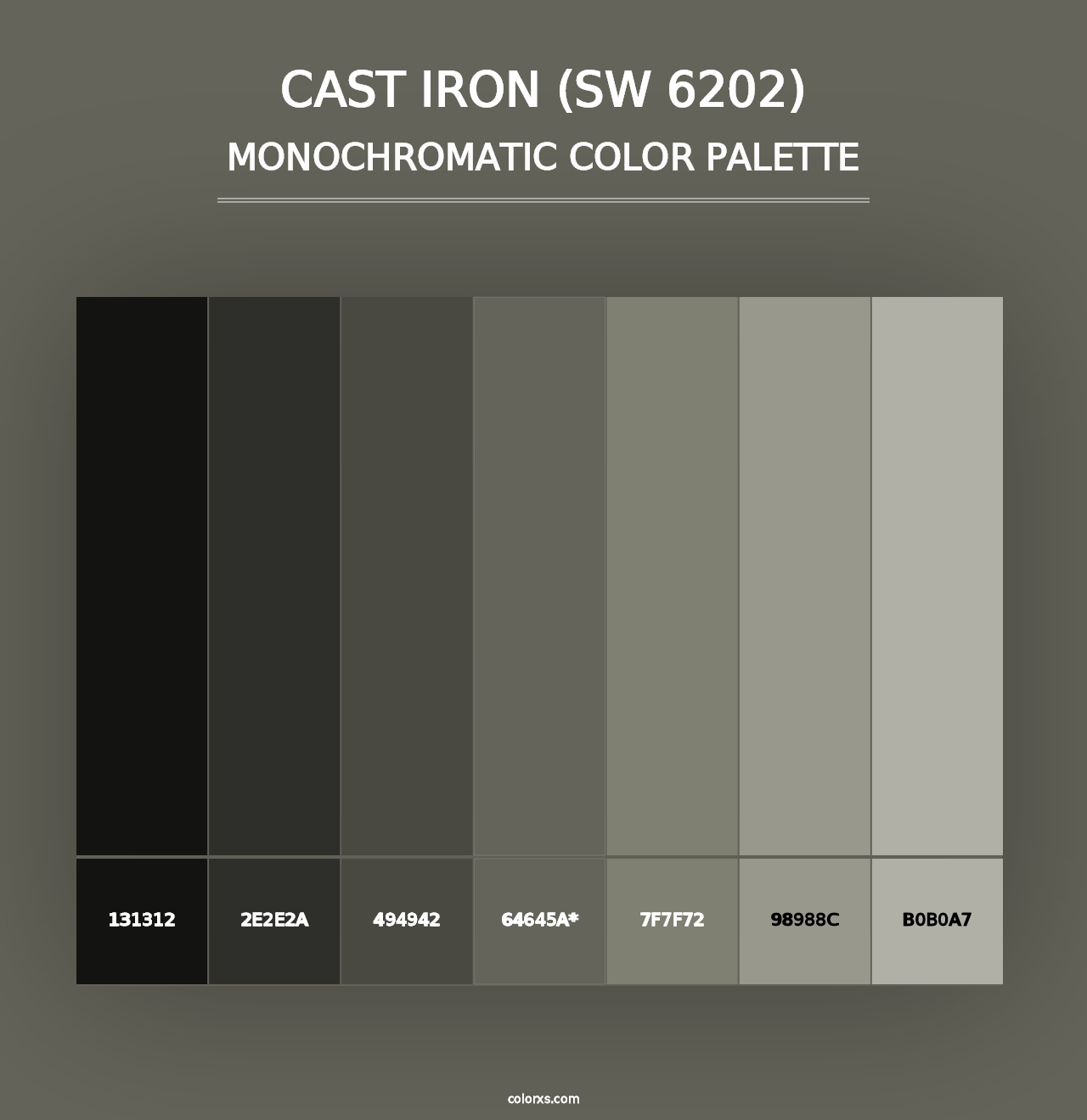 Cast Iron (SW 6202) - Monochromatic Color Palette