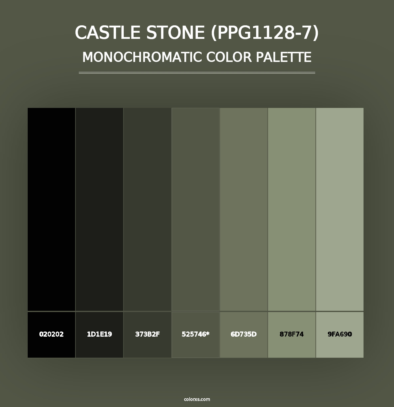 Castle Stone (PPG1128-7) - Monochromatic Color Palette