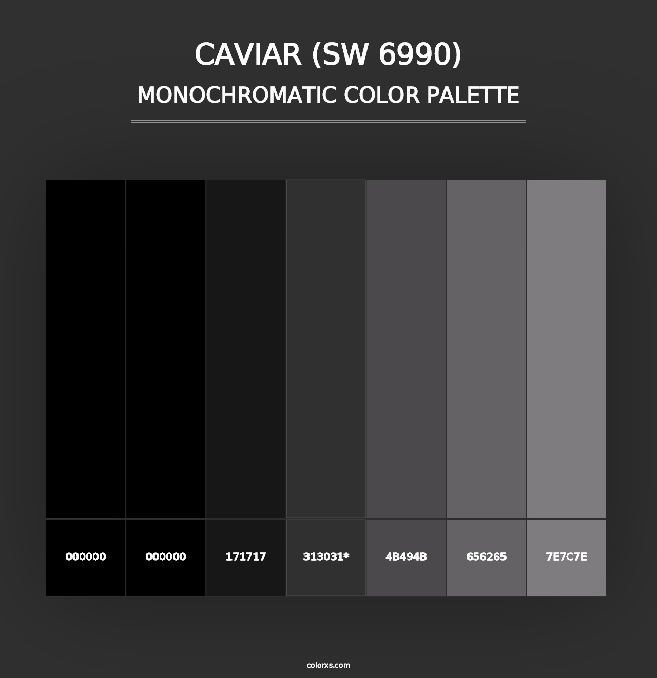 Caviar (SW 6990) - Monochromatic Color Palette