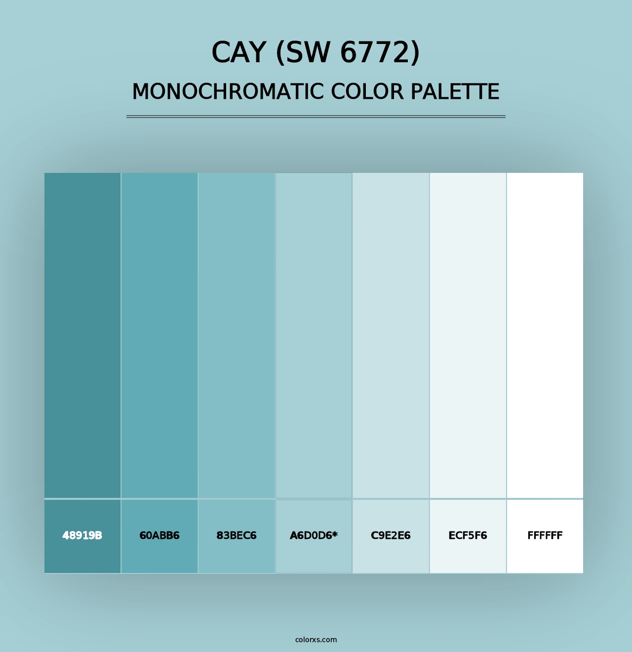 Cay (SW 6772) - Monochromatic Color Palette