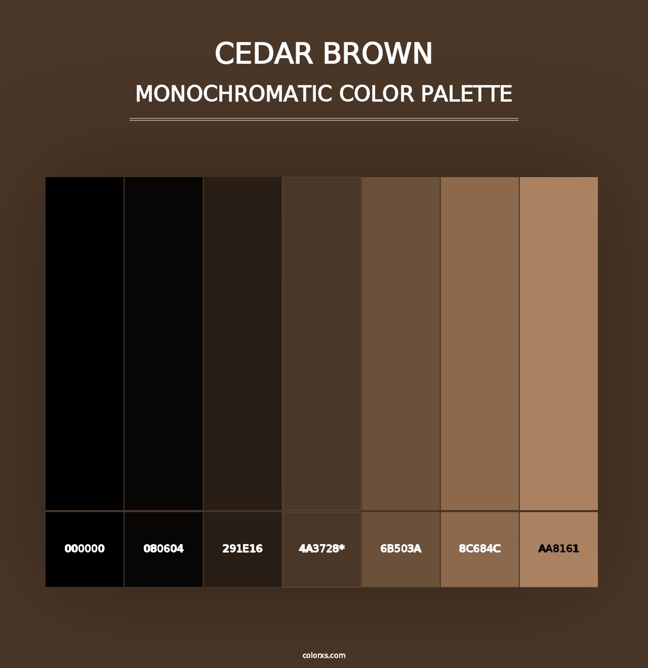 Cedar Brown - Monochromatic Color Palette