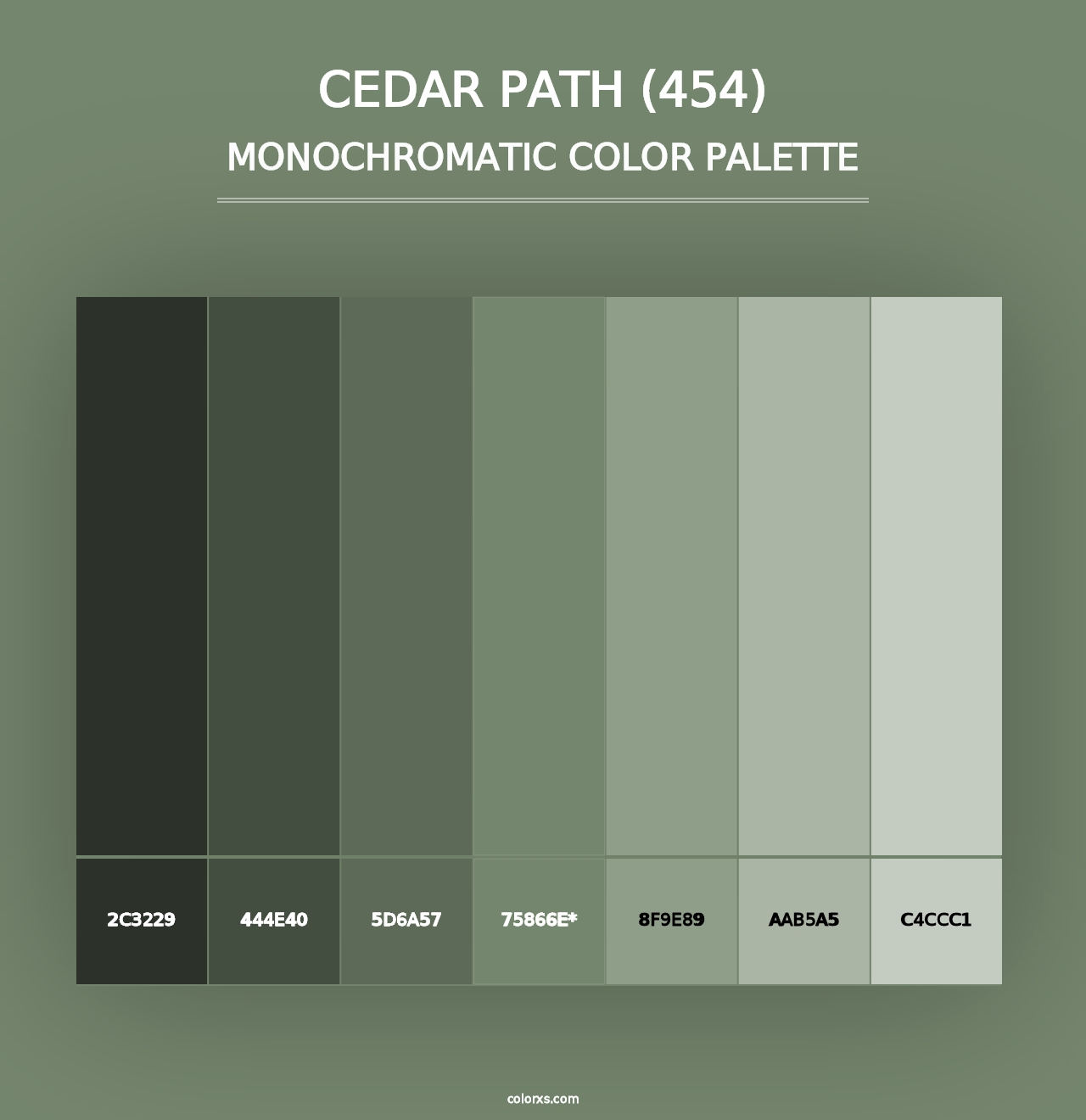 Cedar Path (454) - Monochromatic Color Palette