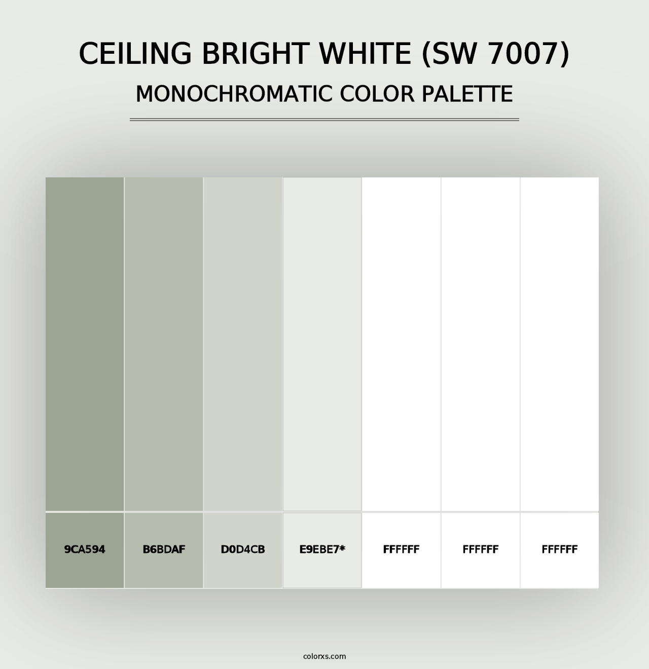 Ceiling Bright White (SW 7007) - Monochromatic Color Palette