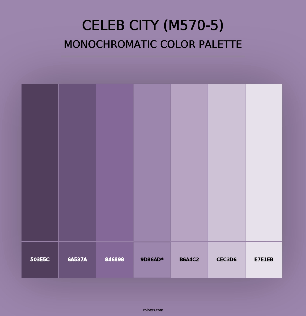 Celeb City (M570-5) - Monochromatic Color Palette