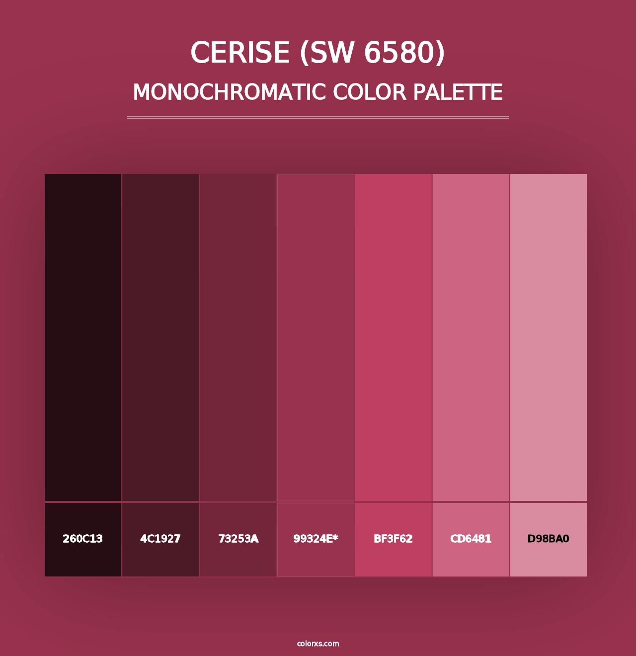 Cerise (SW 6580) - Monochromatic Color Palette