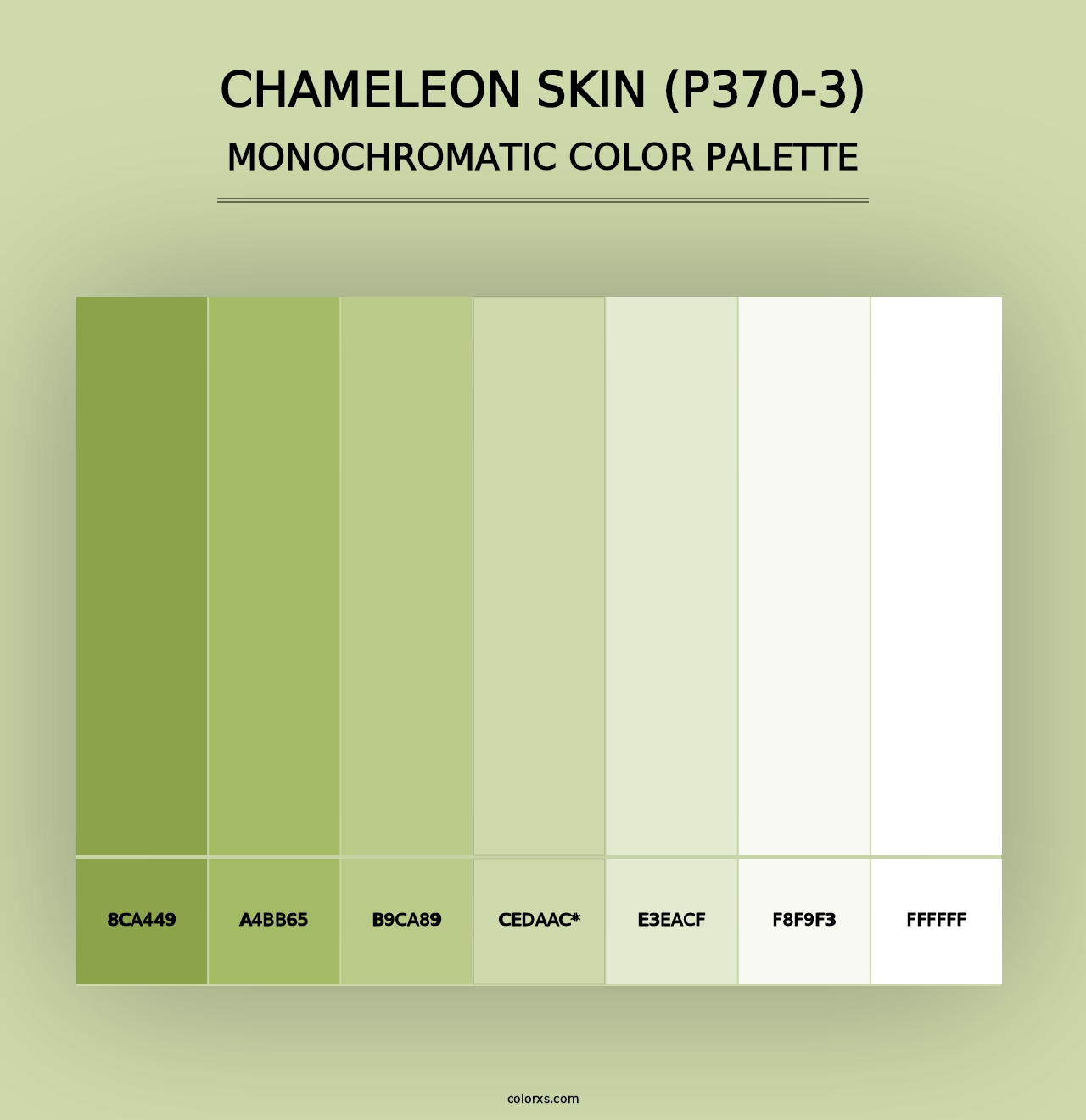 Chameleon Skin (P370-3) - Monochromatic Color Palette