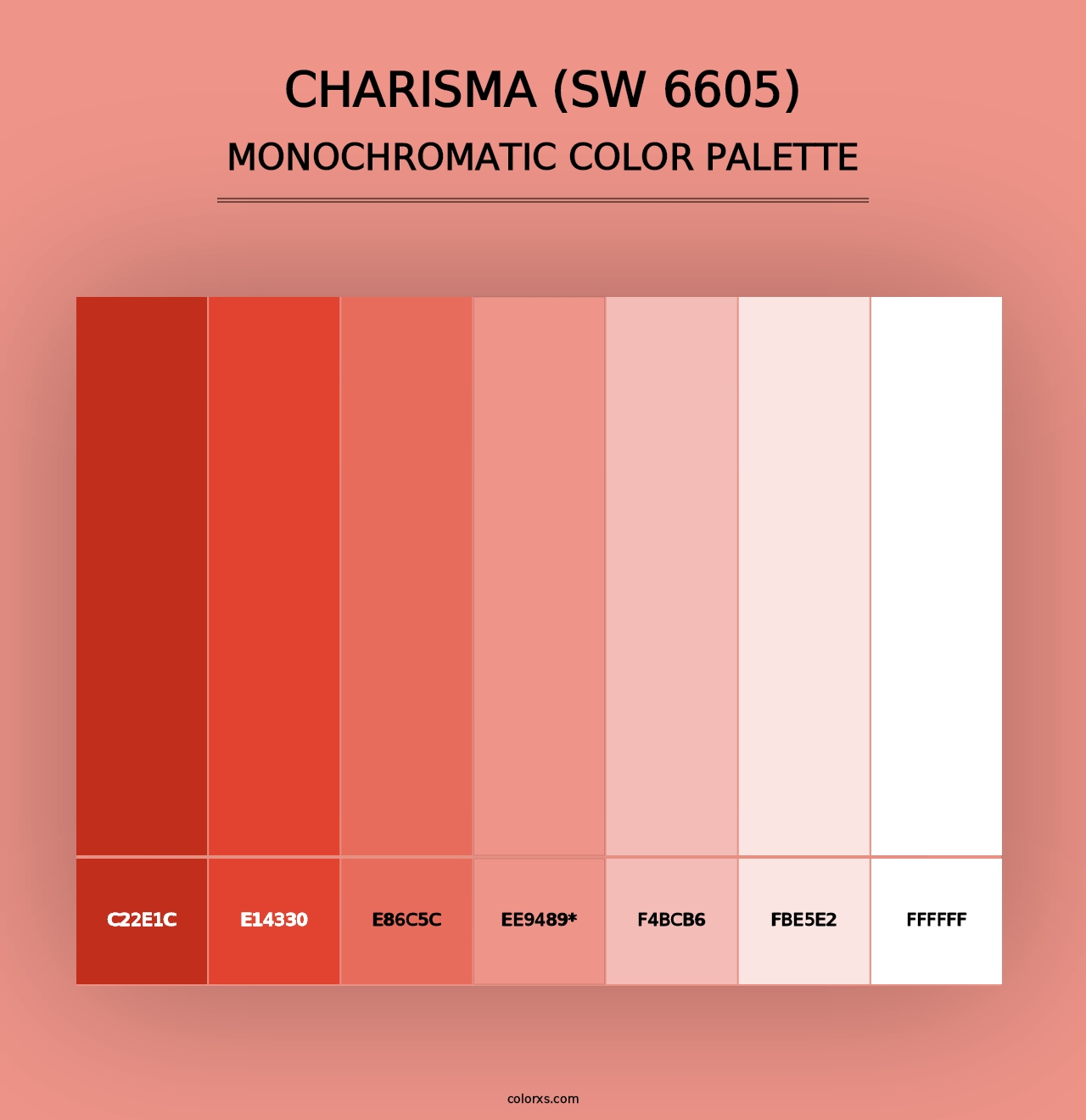 Charisma (SW 6605) - Monochromatic Color Palette