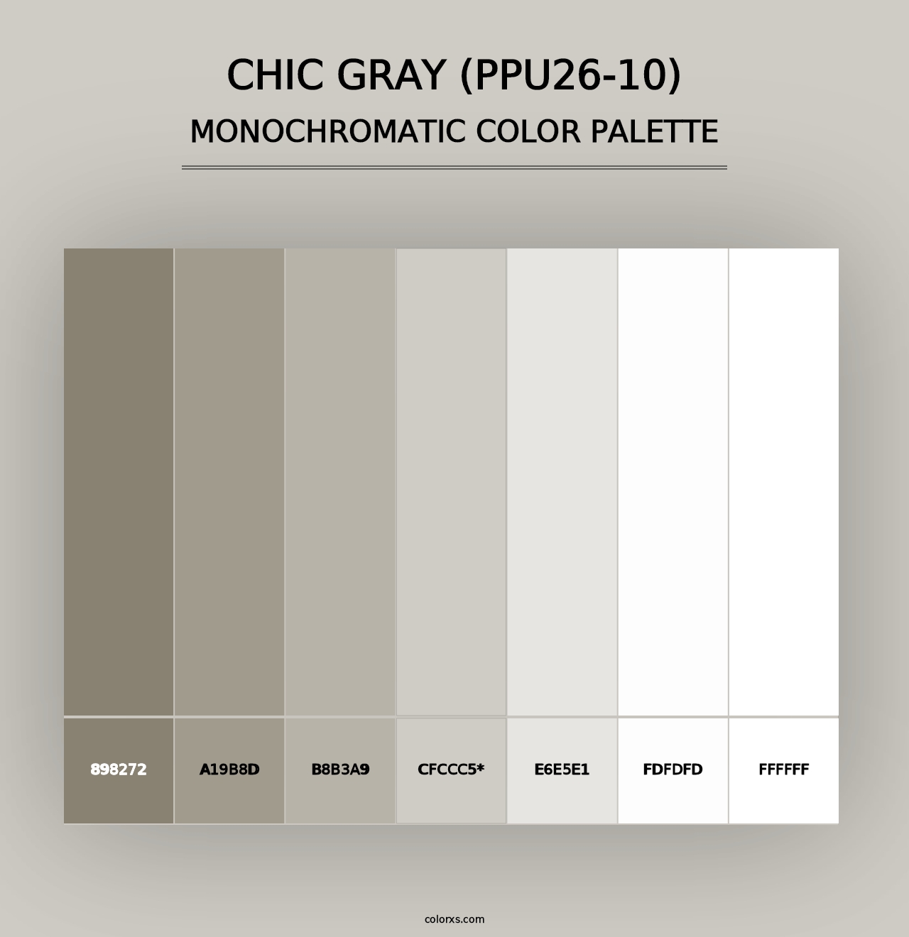 Chic Gray (PPU26-10) - Monochromatic Color Palette