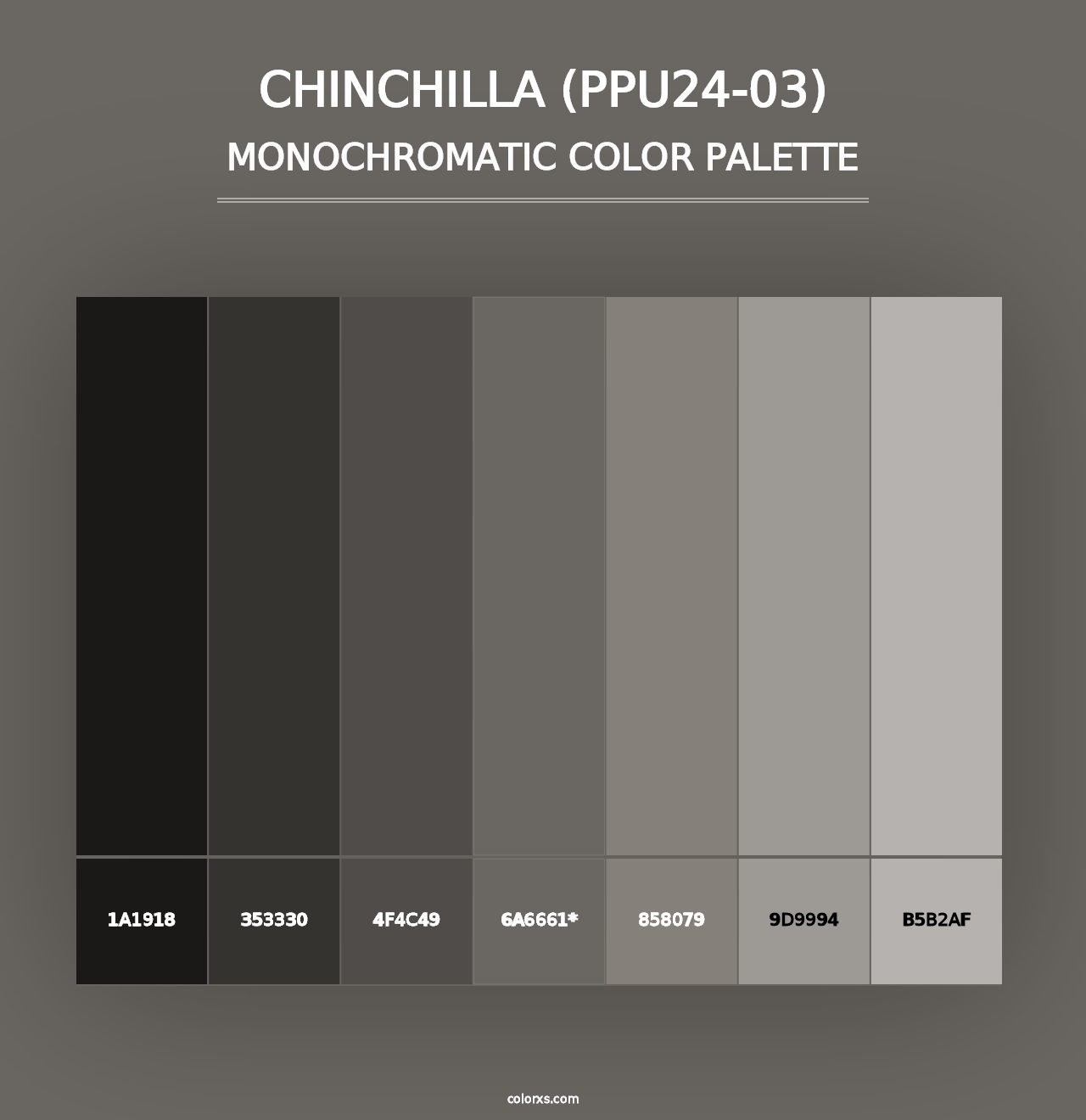 Chinchilla (PPU24-03) - Monochromatic Color Palette