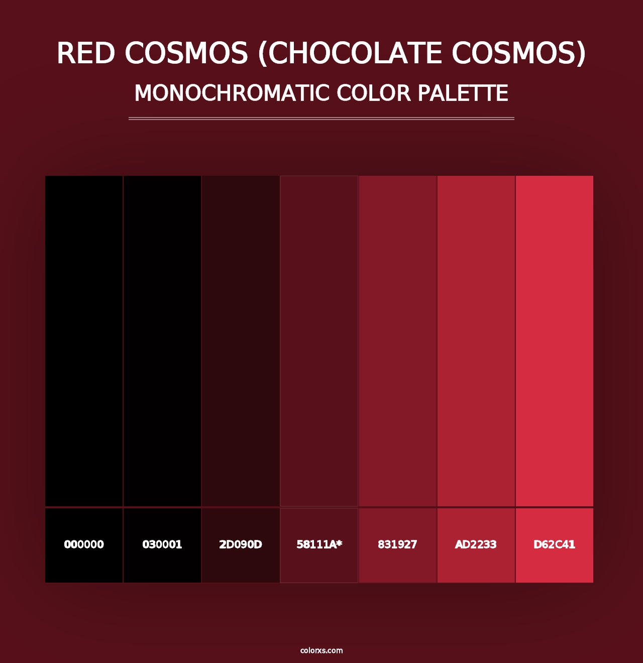 Red Cosmos (Chocolate Cosmos) - Monochromatic Color Palette