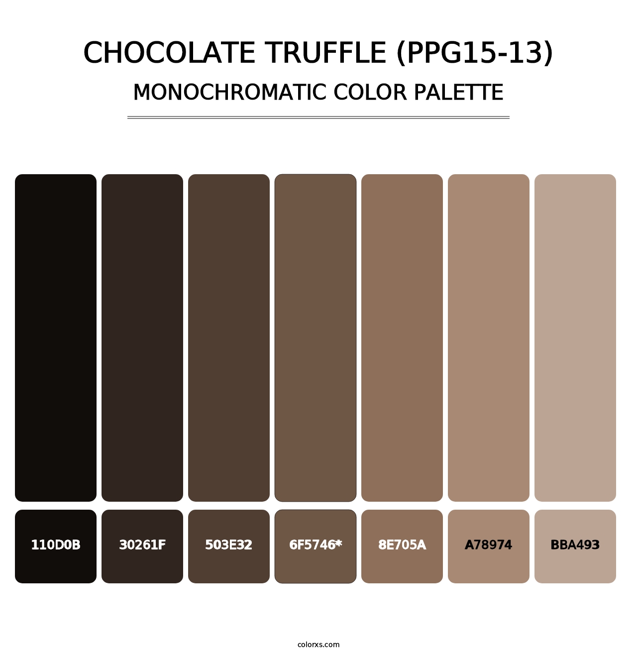 Chocolate Truffle (PPG15-13) - Monochromatic Color Palette