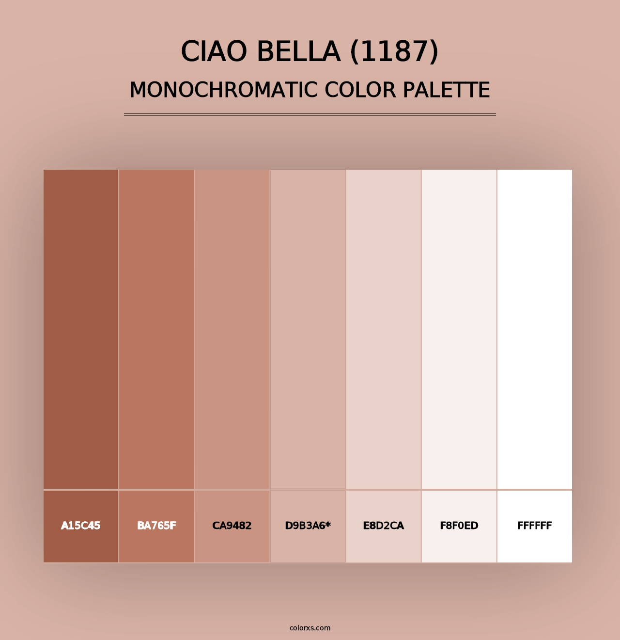 Ciao Bella (1187) - Monochromatic Color Palette