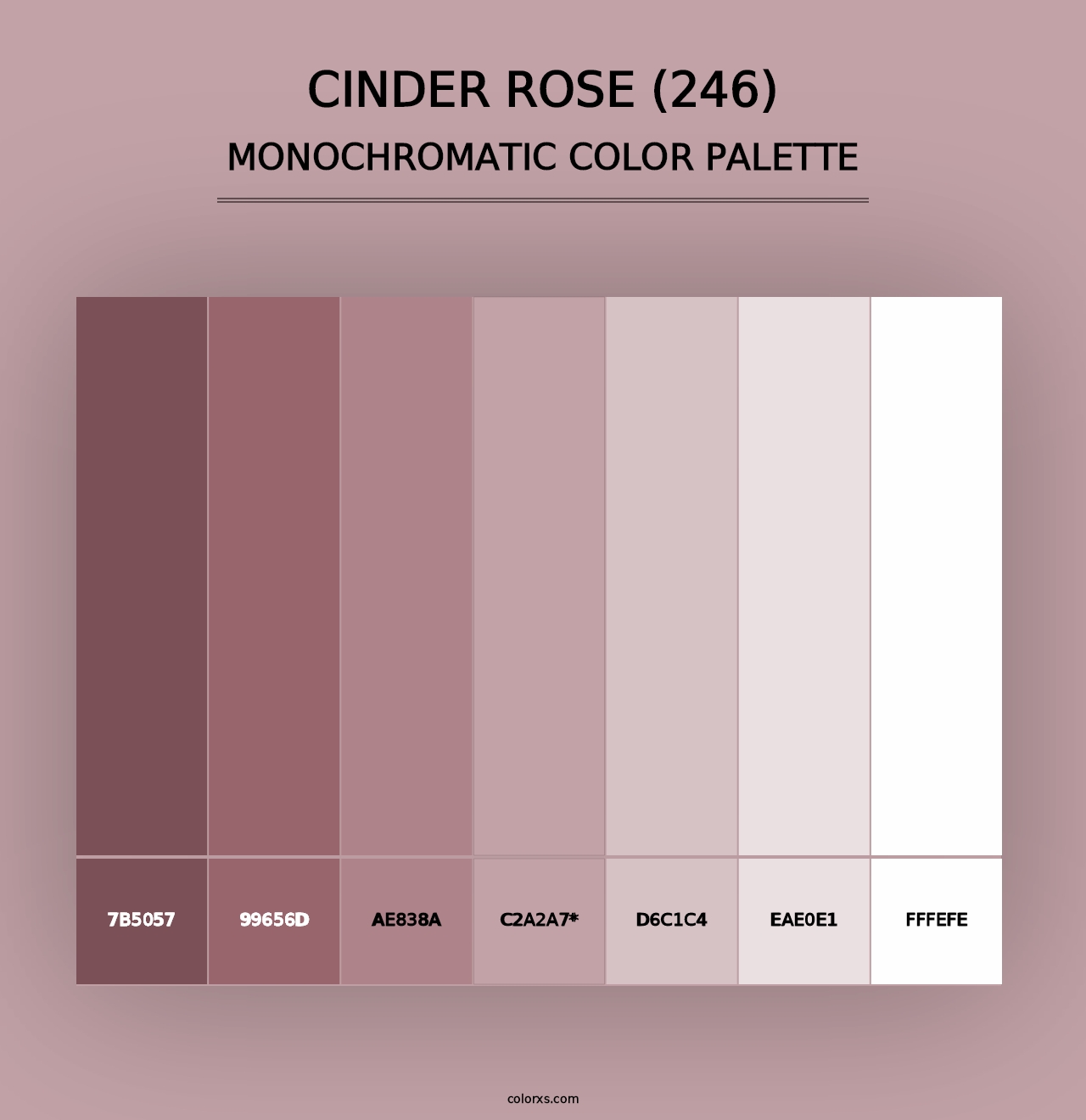 Cinder Rose (246) - Monochromatic Color Palette