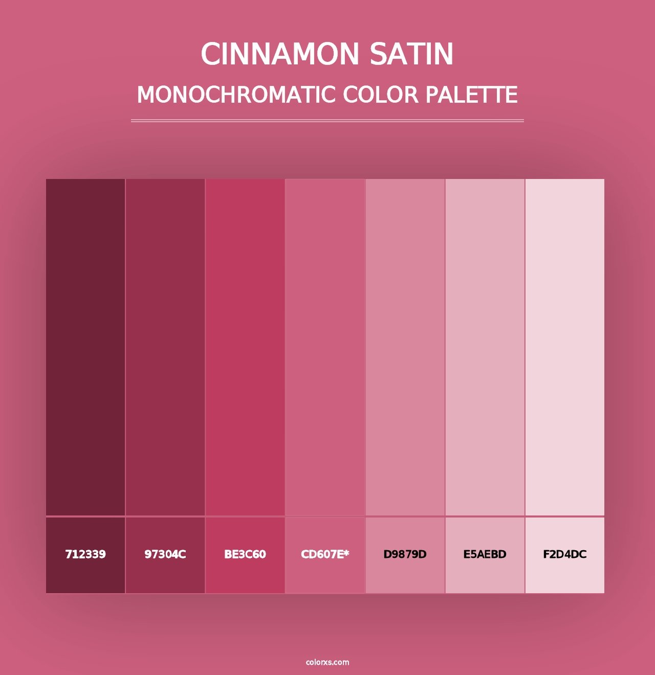 Cinnamon Satin - Monochromatic Color Palette