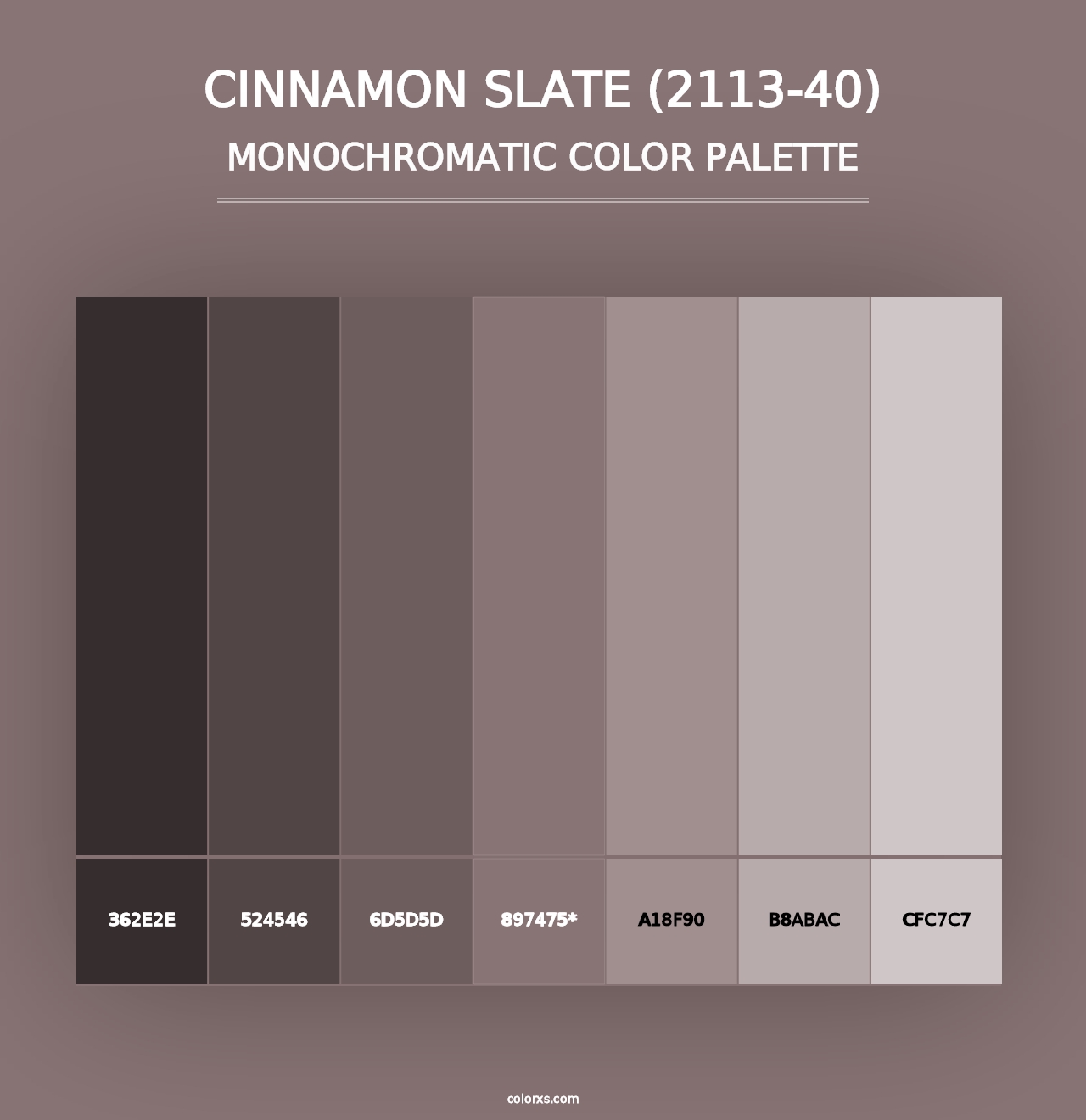 Cinnamon Slate (2113-40) - Monochromatic Color Palette