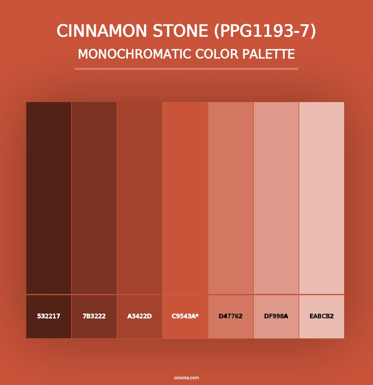 Cinnamon Stone (PPG1193-7) - Monochromatic Color Palette