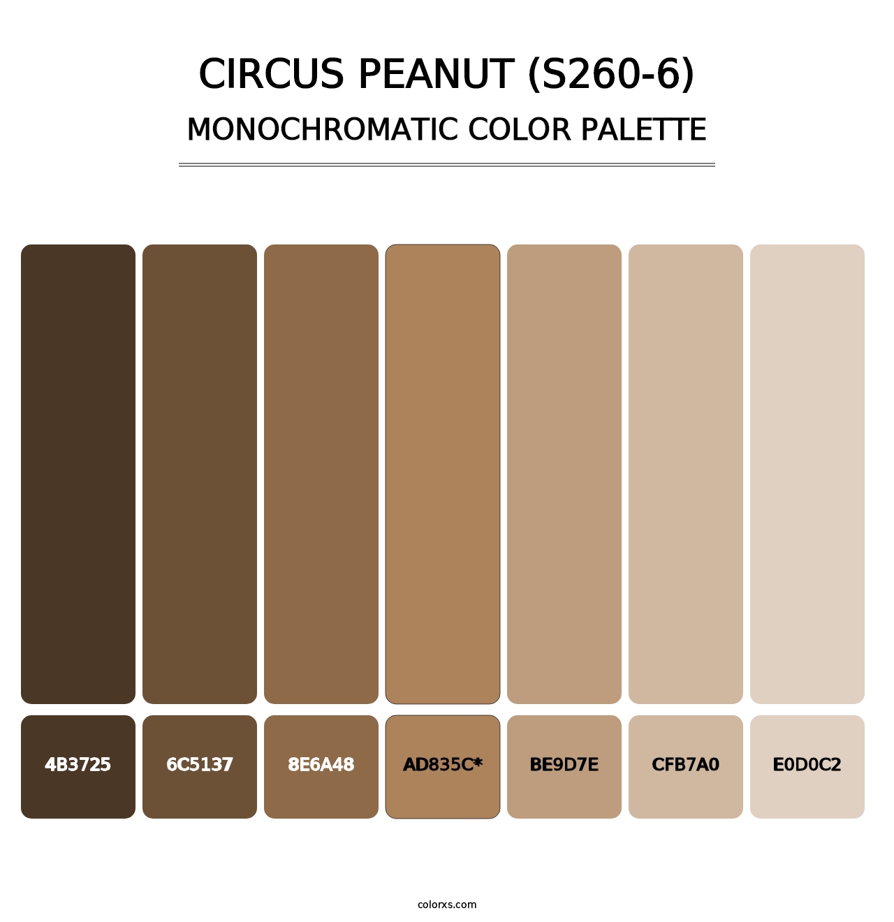 Circus Peanut (S260-6) - Monochromatic Color Palette