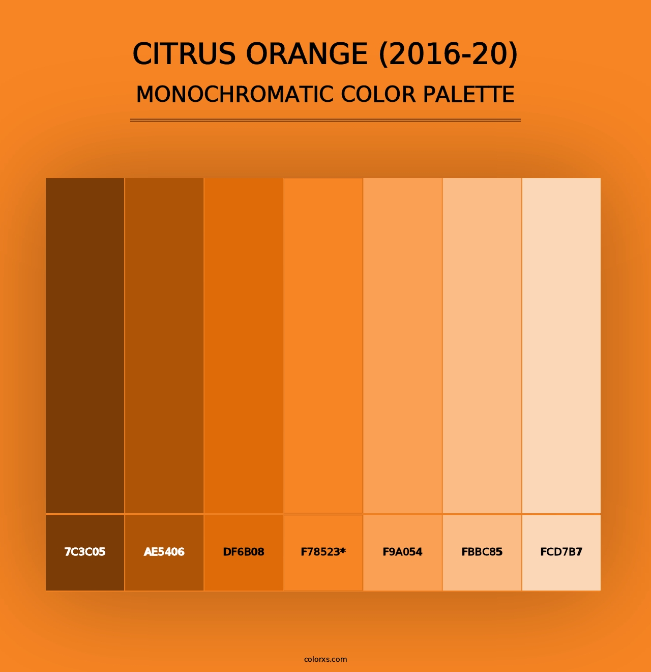 Citrus Orange (2016-20) - Monochromatic Color Palette