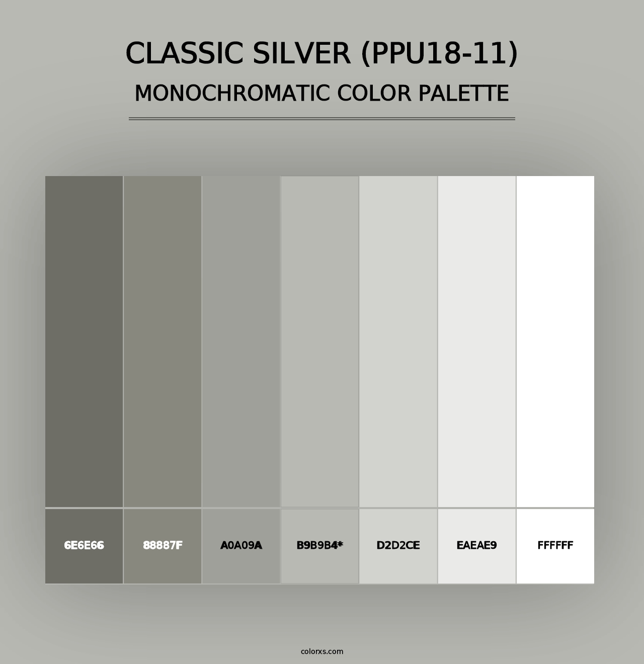 Classic Silver (PPU18-11) - Monochromatic Color Palette