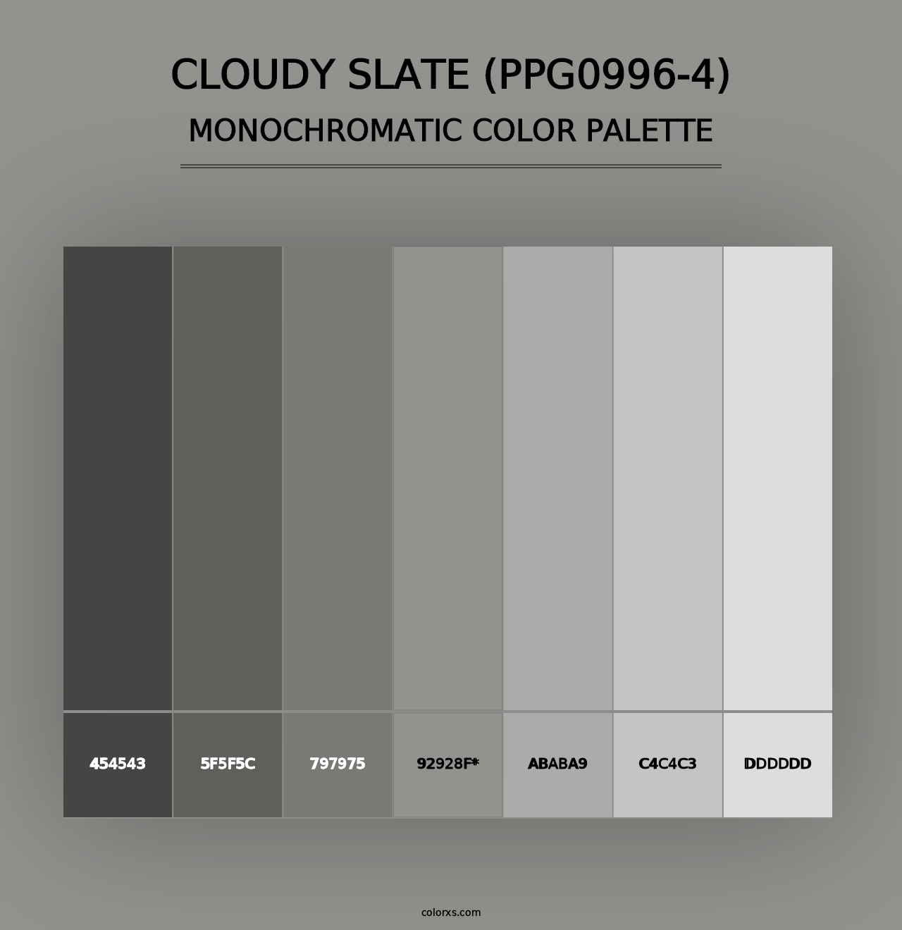 Cloudy Slate (PPG0996-4) - Monochromatic Color Palette