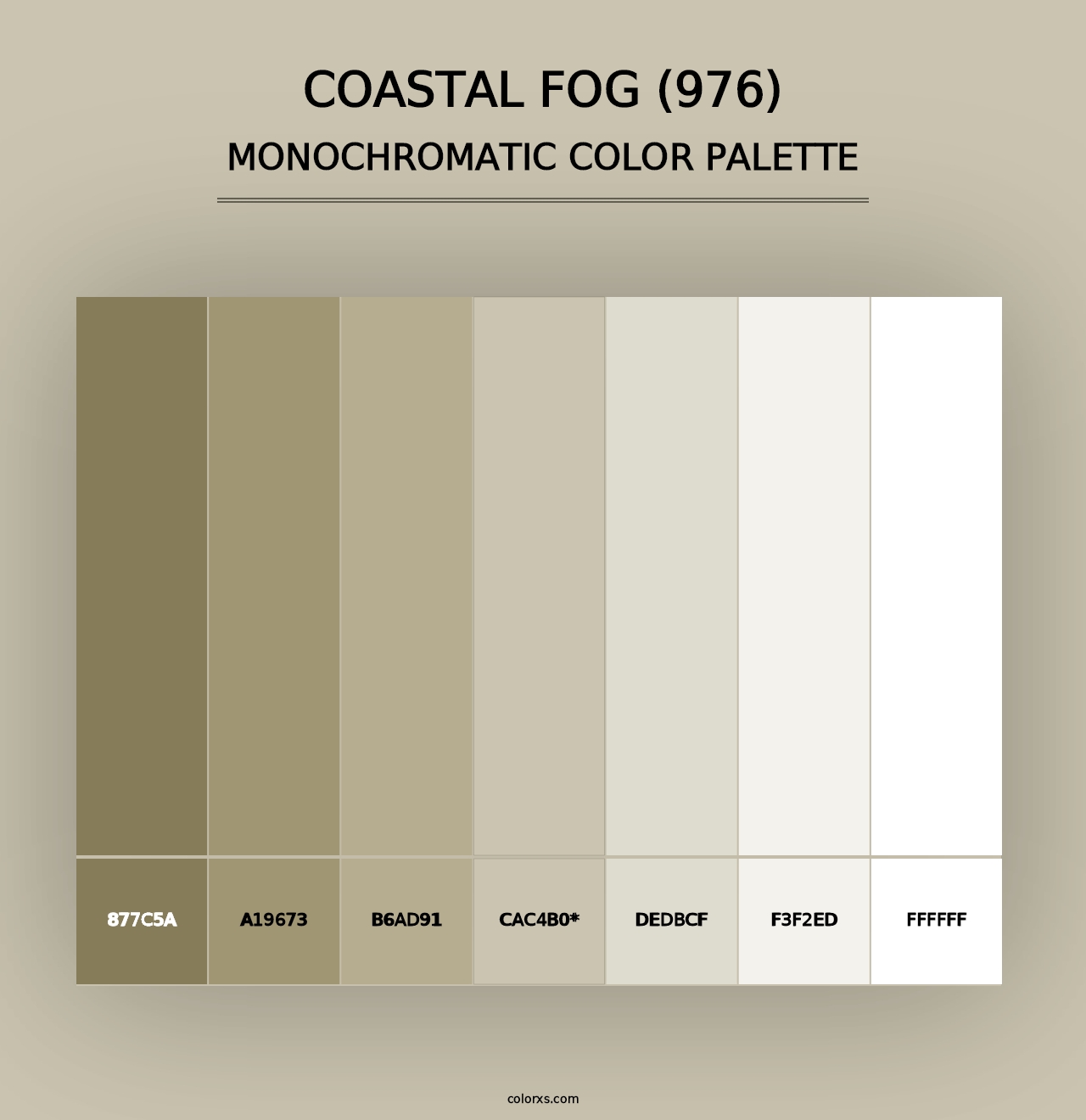 Coastal Fog (976) - Monochromatic Color Palette