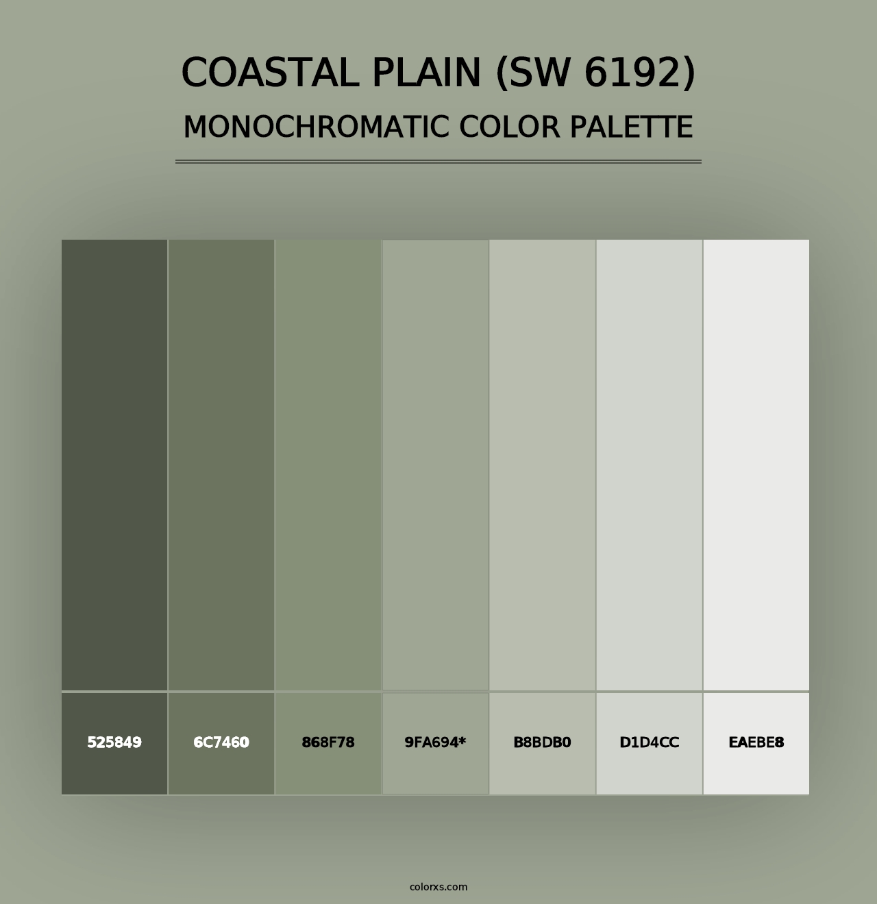 Coastal Plain (SW 6192) - Monochromatic Color Palette