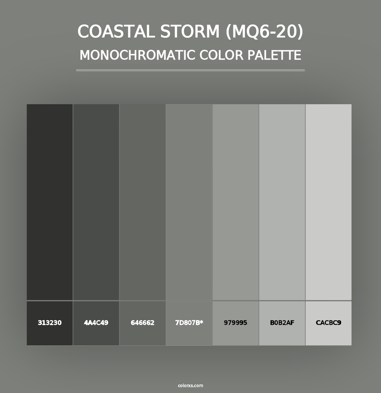 Coastal Storm (MQ6-20) - Monochromatic Color Palette