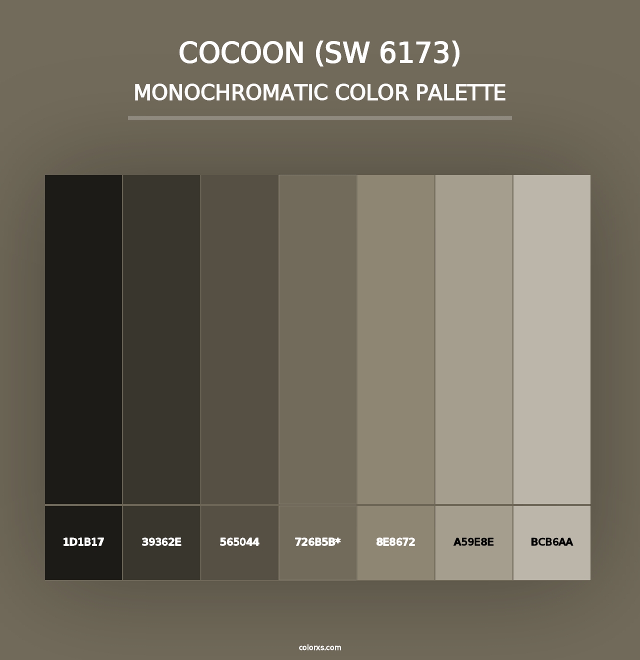 Cocoon (SW 6173) - Monochromatic Color Palette