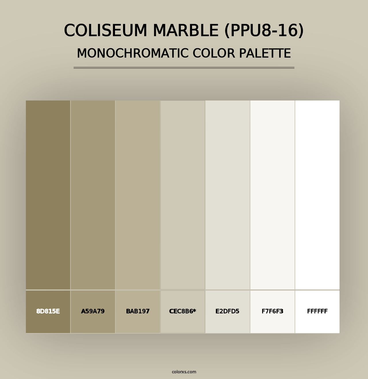 Coliseum Marble (PPU8-16) - Monochromatic Color Palette