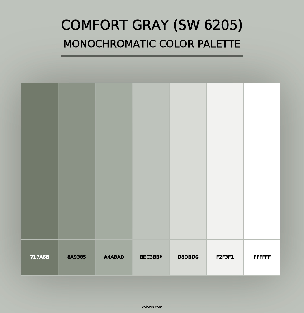 Comfort Gray (SW 6205) - Monochromatic Color Palette