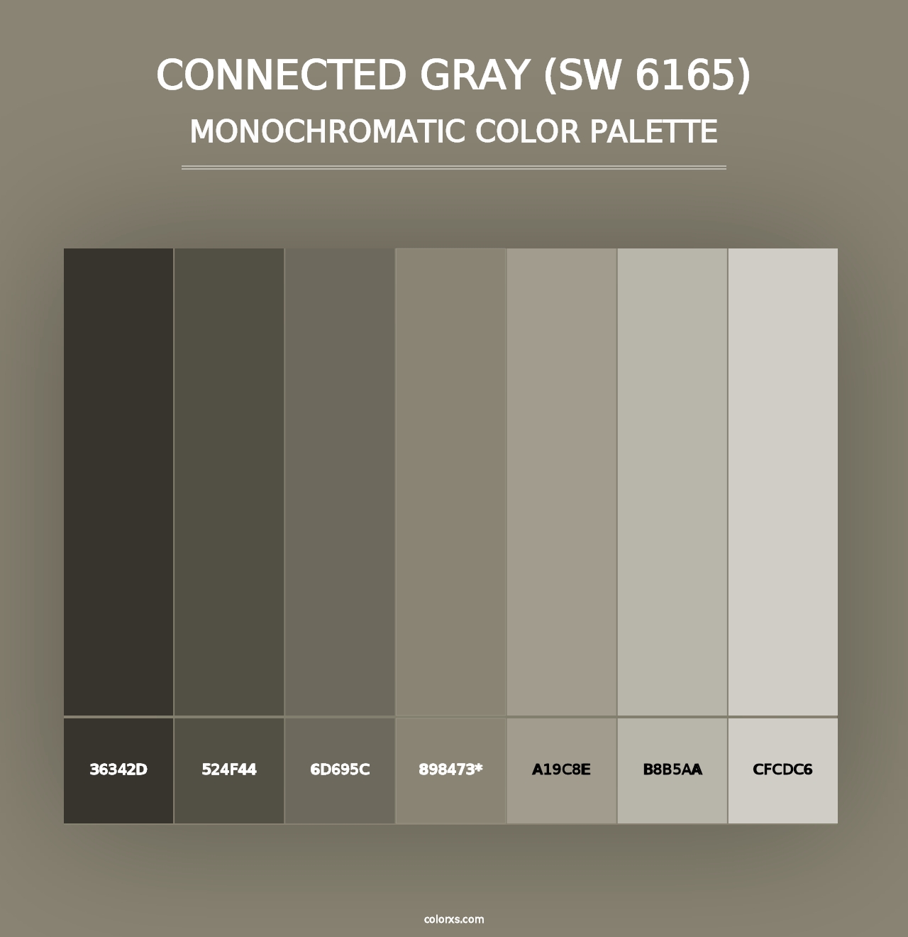 Connected Gray (SW 6165) - Monochromatic Color Palette