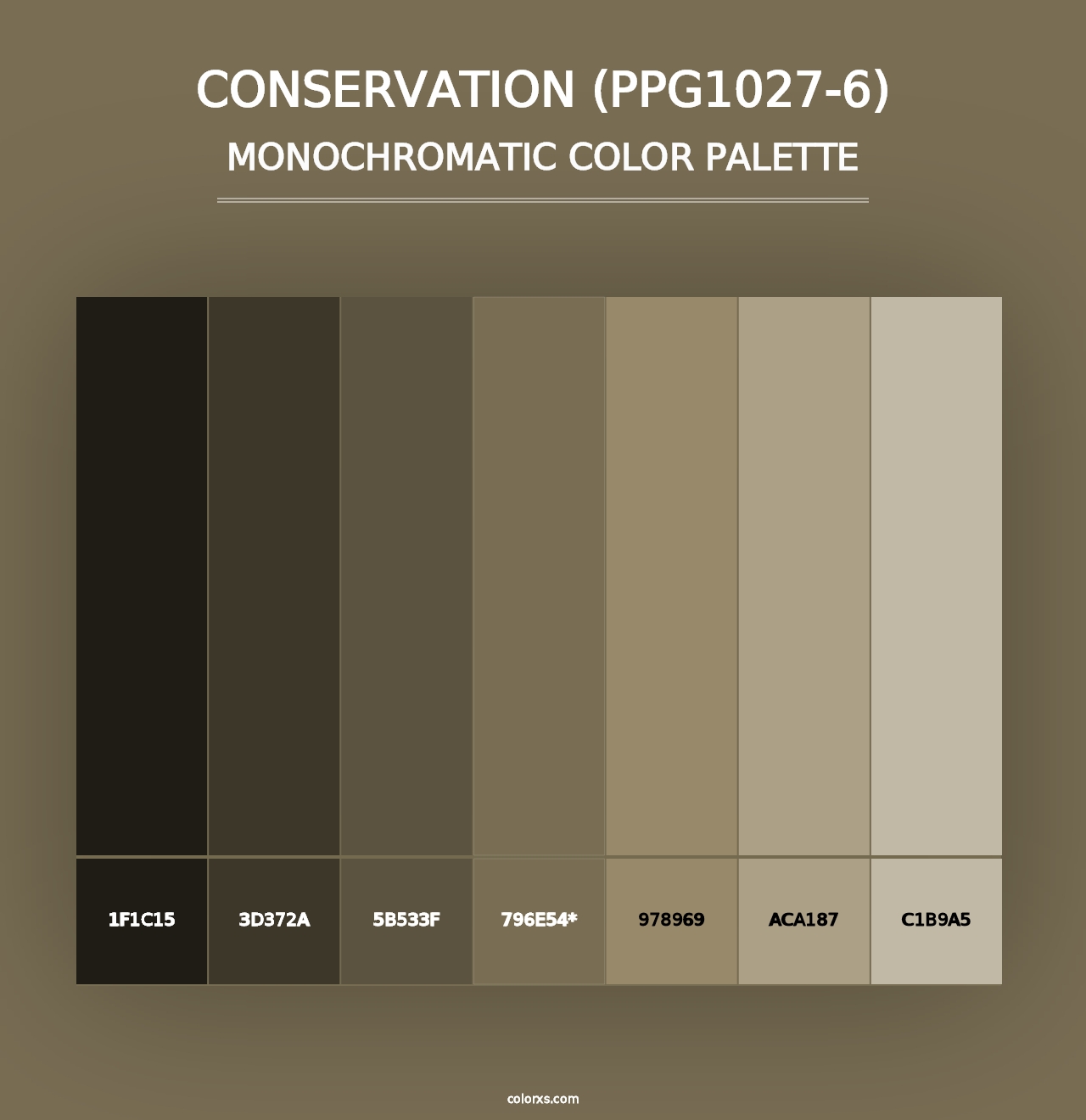 Conservation (PPG1027-6) - Monochromatic Color Palette