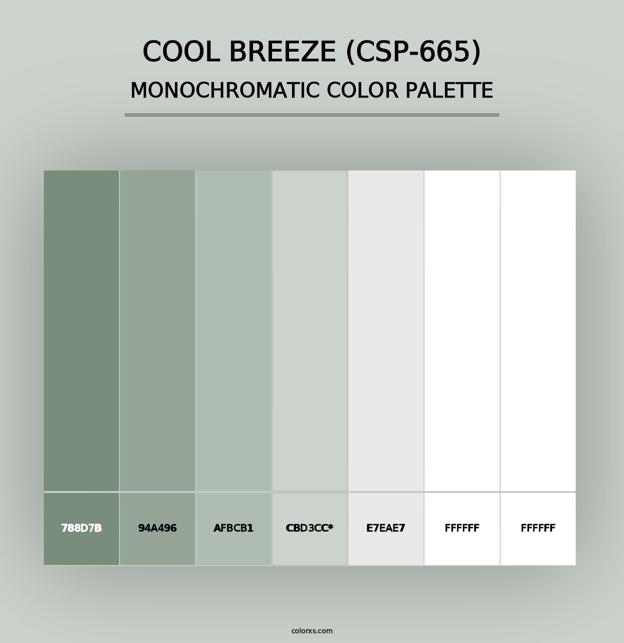 Cool Breeze (CSP-665) - Monochromatic Color Palette